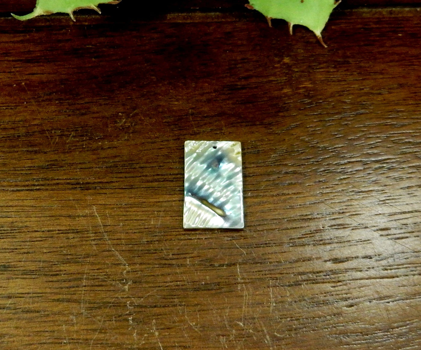Abalone Rectangle Bead displaying the front side.