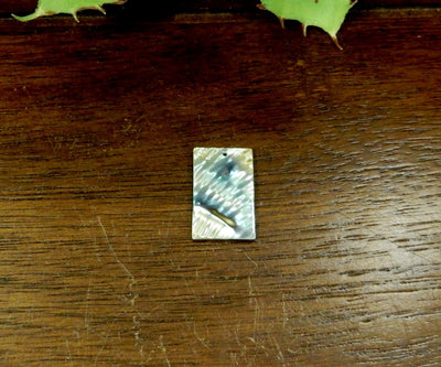 Abalone Rectangle Bead displaying the front side.