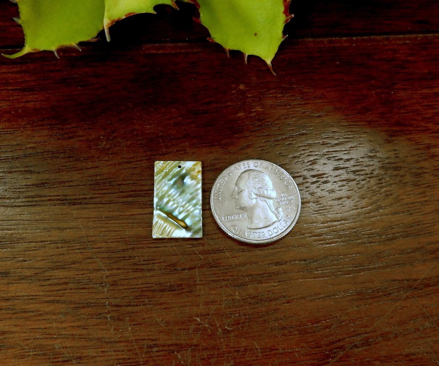 Abalone Rectangle Bead displayed next to a quarter.