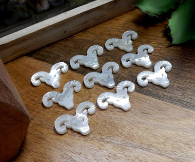 angled shot of 9 Mother Of Pearl Ram Beads on wooden background