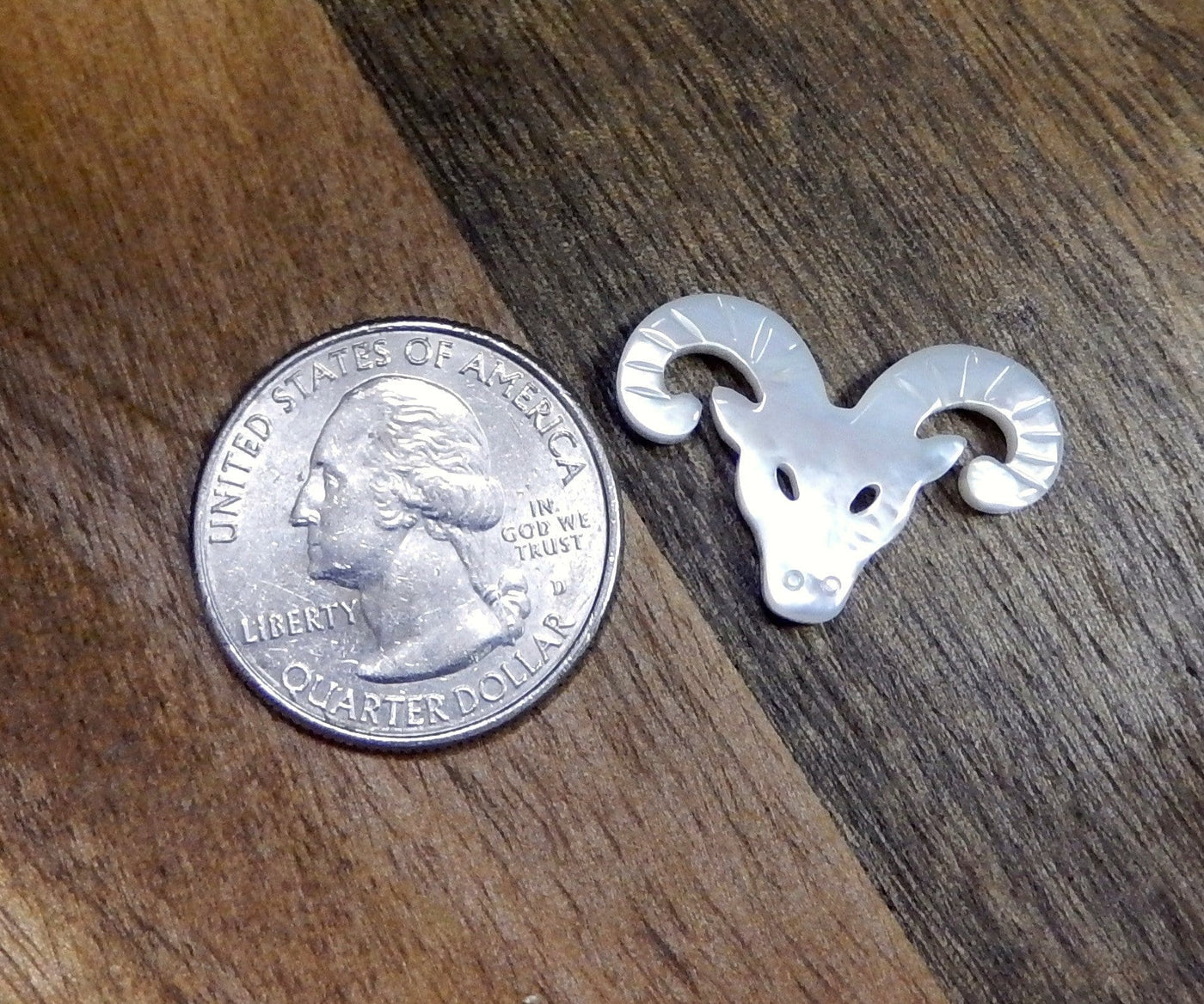 Mother Of Pearl Ram Bead next to a quarter for size reference