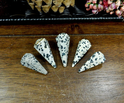 Five Dalmatian Jasper Pendulum Point Top Side Drilled Bead