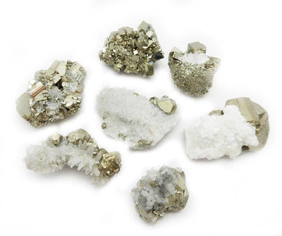 Seven Petite Pyrite with Crystal Clusters in white background top view