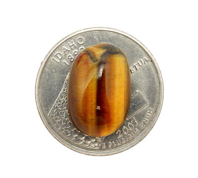 Single Petite Tiger Eye Round Cabochon on a quarter for size comparison