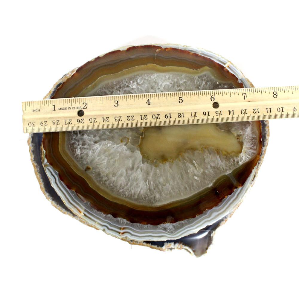 Picture of natural platter, with ruler for size referral.