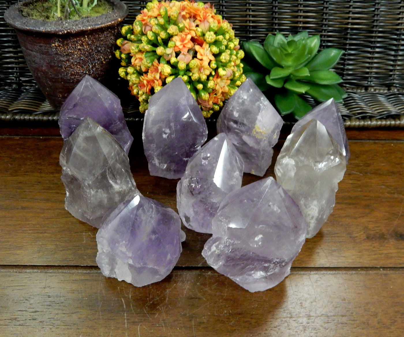 8 Raw Amethyst Semi Polished Points on wooden table with various decorations in the background
