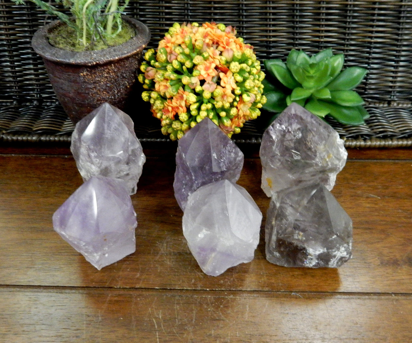 6 Raw Amethyst Semi Polished Points on wooden table with various decorations in the background