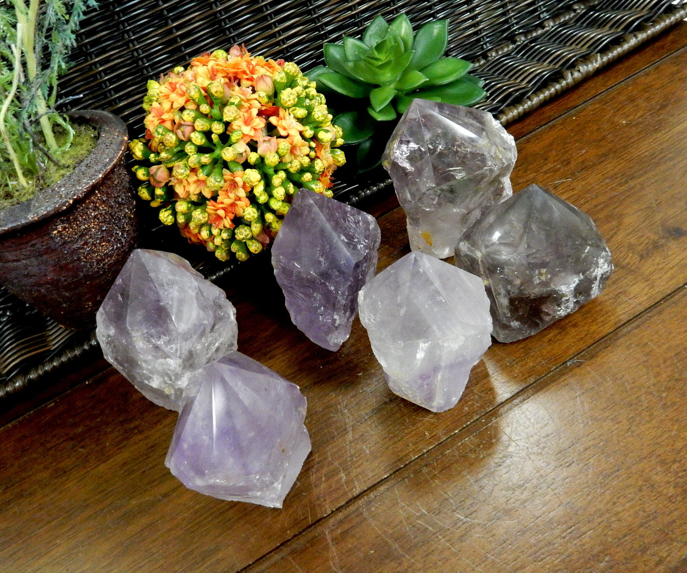 Angled top view of 6 Raw Amethyst Semi Polished Points on wooden table with various decorations in the backgorund