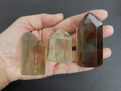 three 80g - 100g smokey quartz polished points in hand over black background for size reference and possible variations