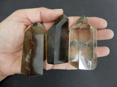 three 100g- 150g smokey quartz polished points in hand over black background for size reference and possible variations