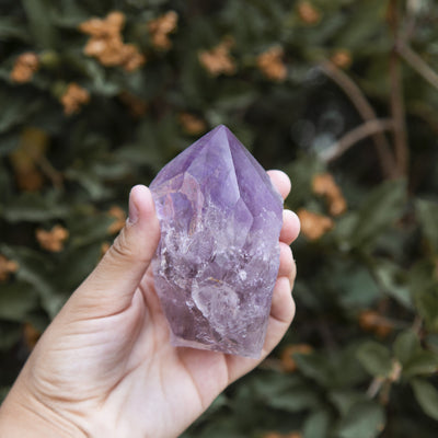 Hand holding up Raw Amethyst Semi Polished Point with plants blurred in the background