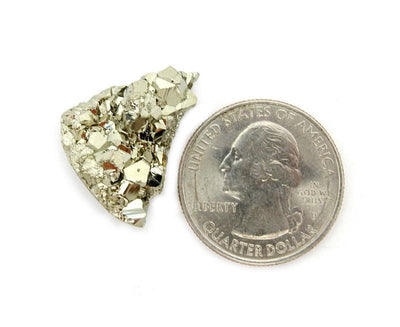 Pyrite Mixed Shape Cabochon next to a quarter for sizing
