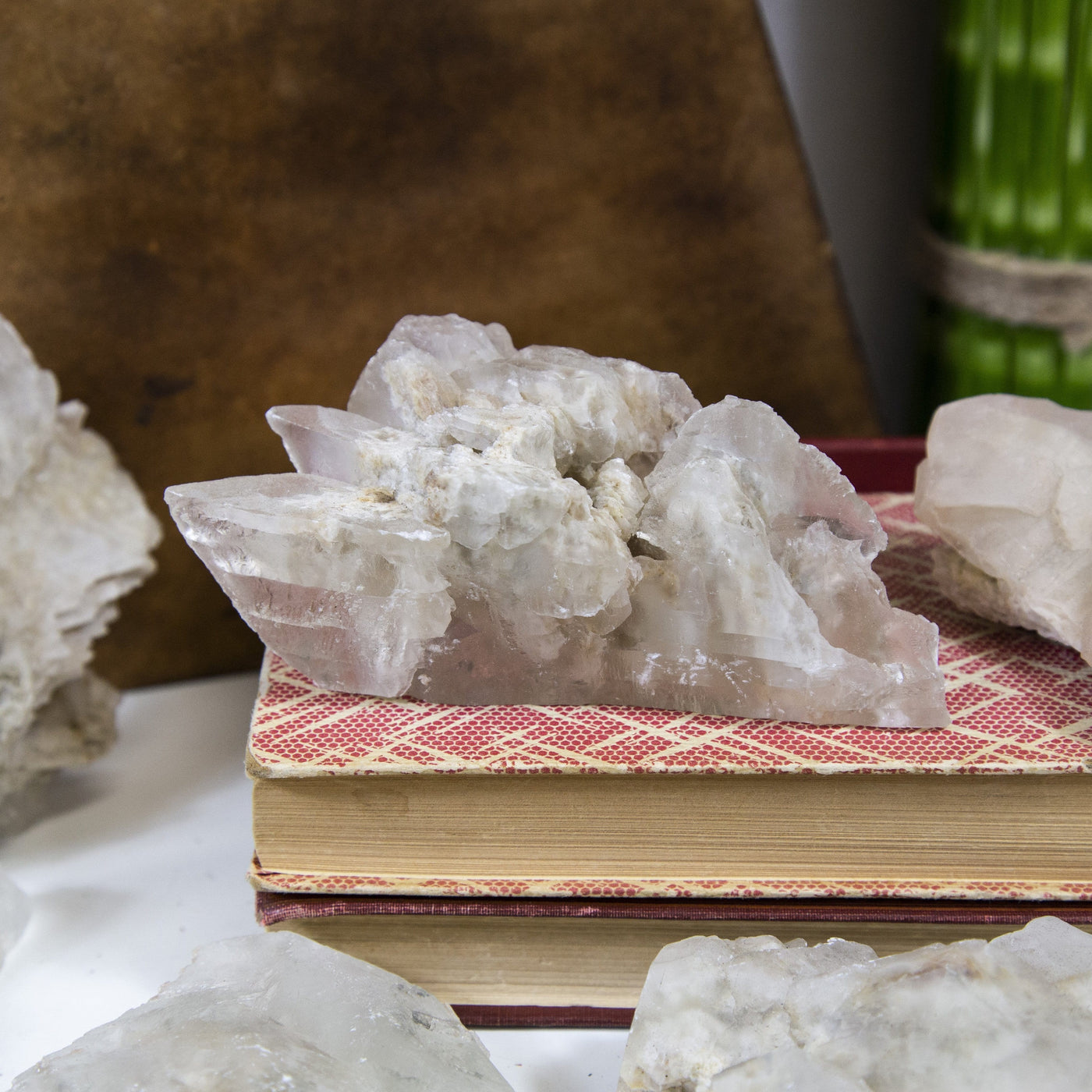 close up of one small phantom selenite cluster on display with others around the edge