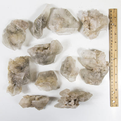 many small phantom selenite clusters with ruler for size reference