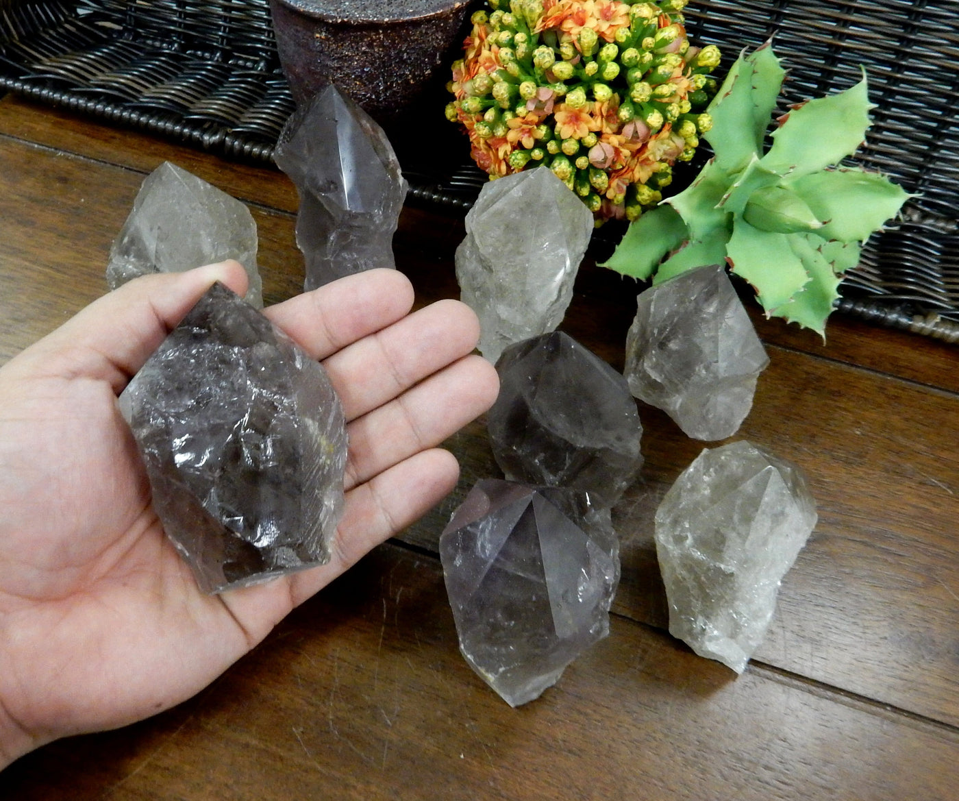 Hand holding up  Smokey Quartz Semi Polished Point with others and plants in the background
