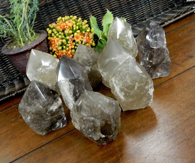  Smokey Quartz Semi Polished Points on wooden table with plants in the background