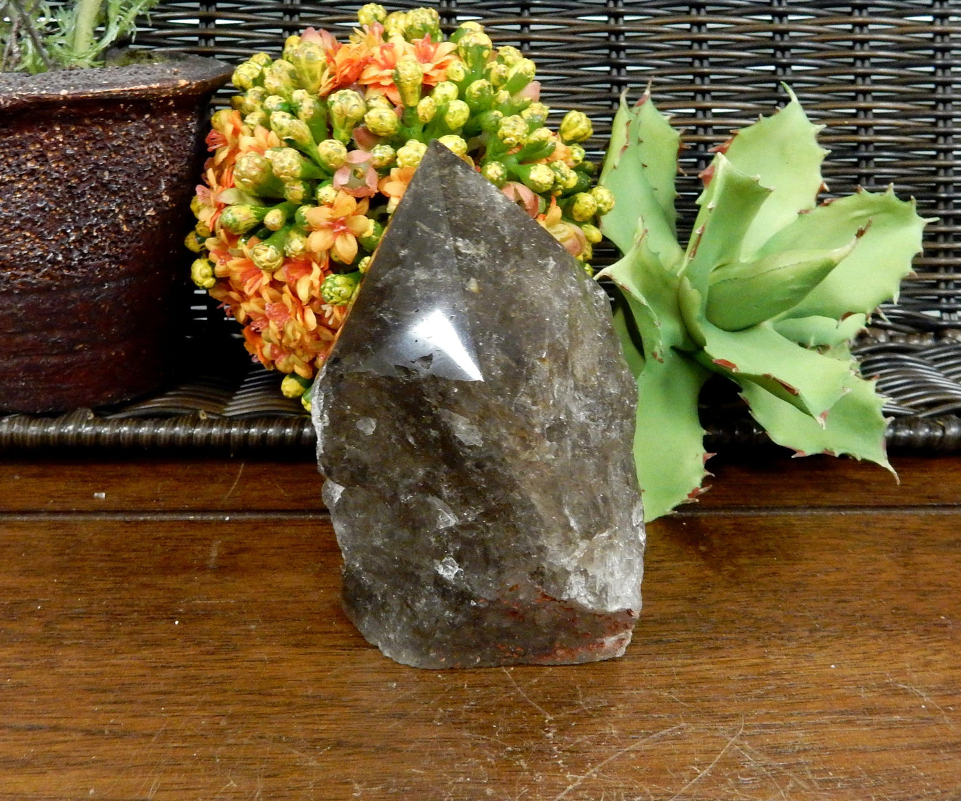  Smokey Quartz Semi Polished Point on wooden table with plants in the background
