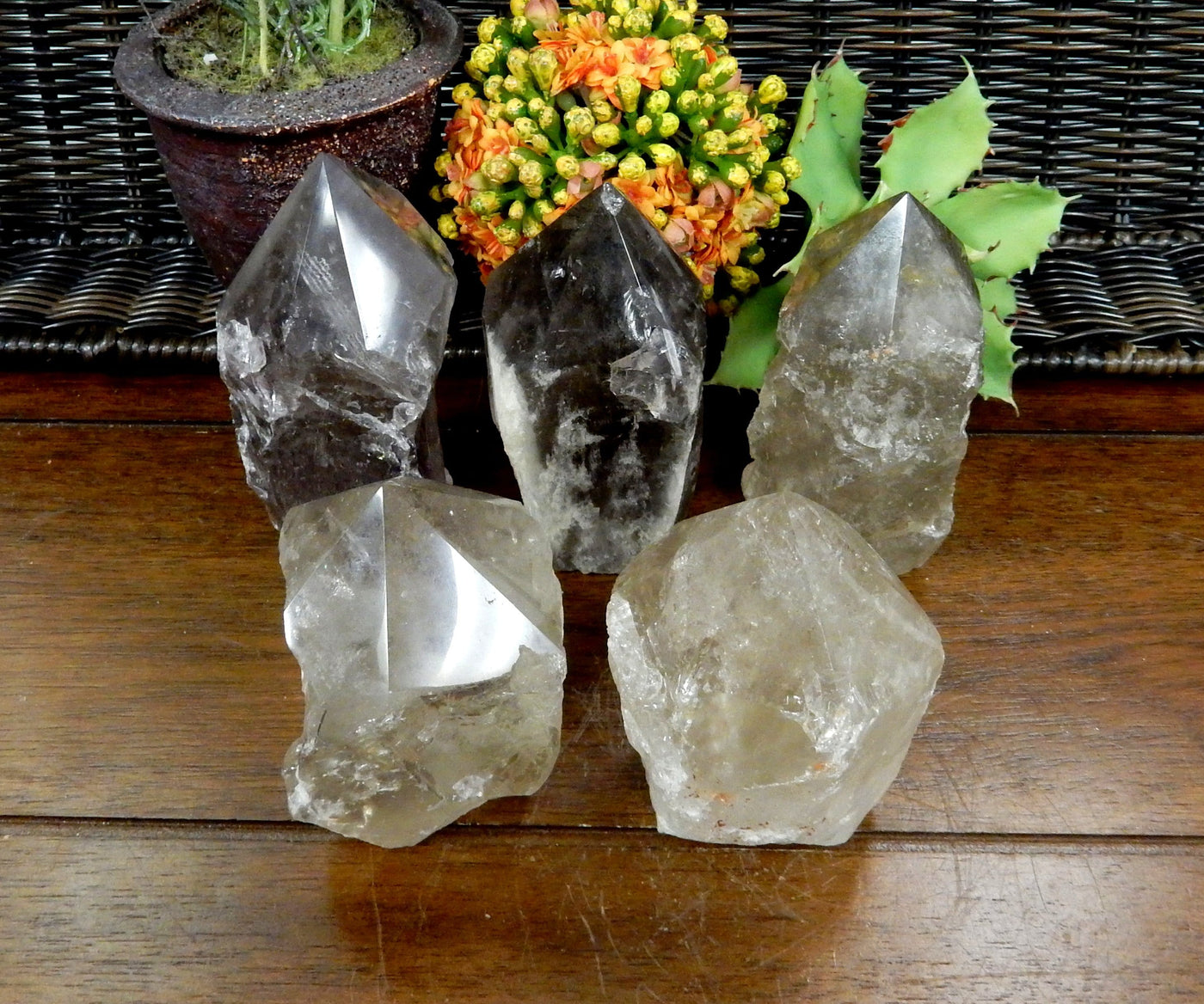 5  Smokey Quartz Semi Polished Points on wooden table with plants in the background