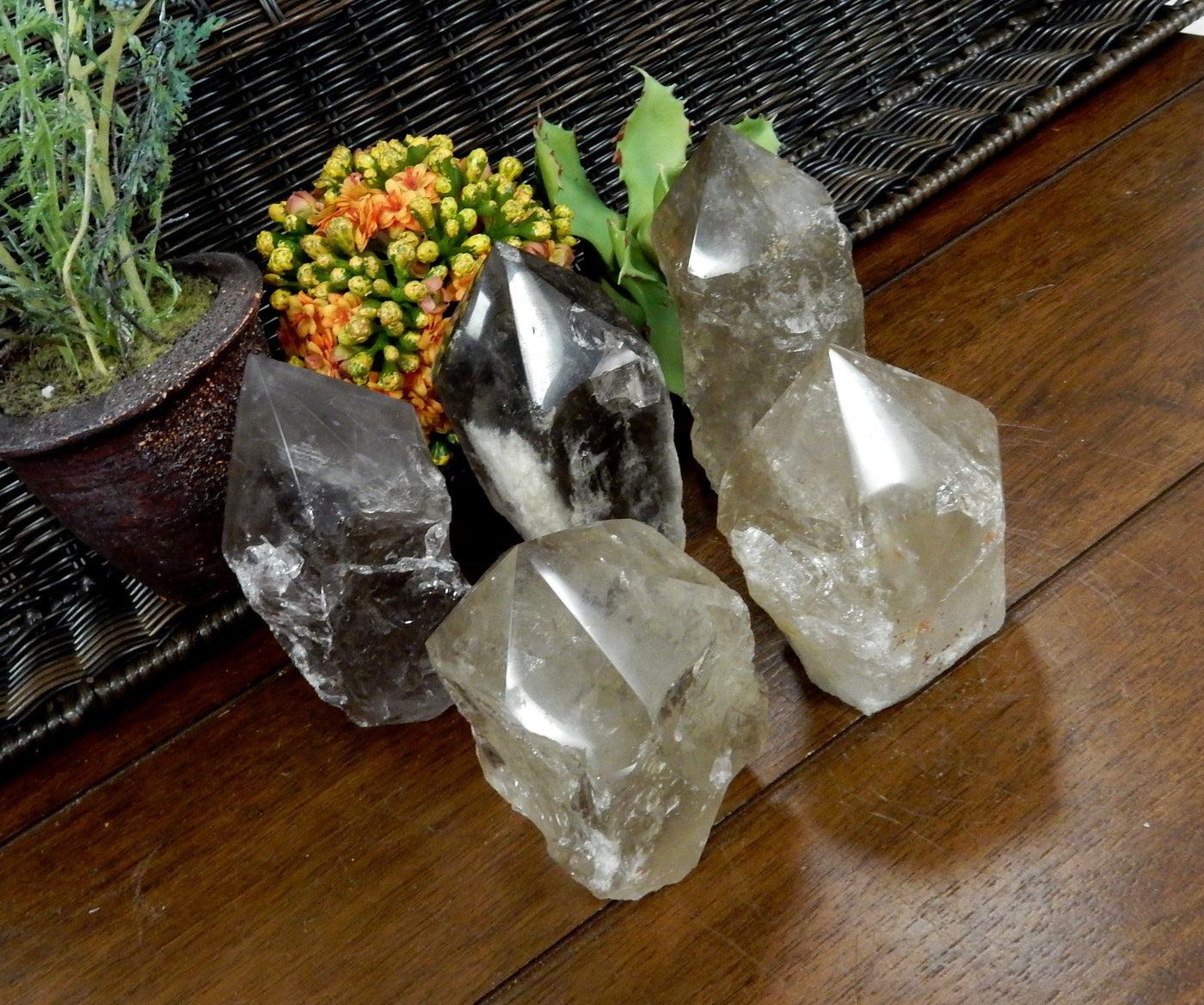 5  Smokey Quartz Semi Polished Points on wooden table with plants in the background