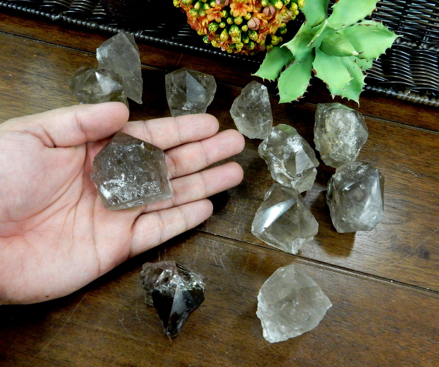 Hand holding up 1  Smokey Quartz Semi Polished Point with others on wooden table with plants in the background