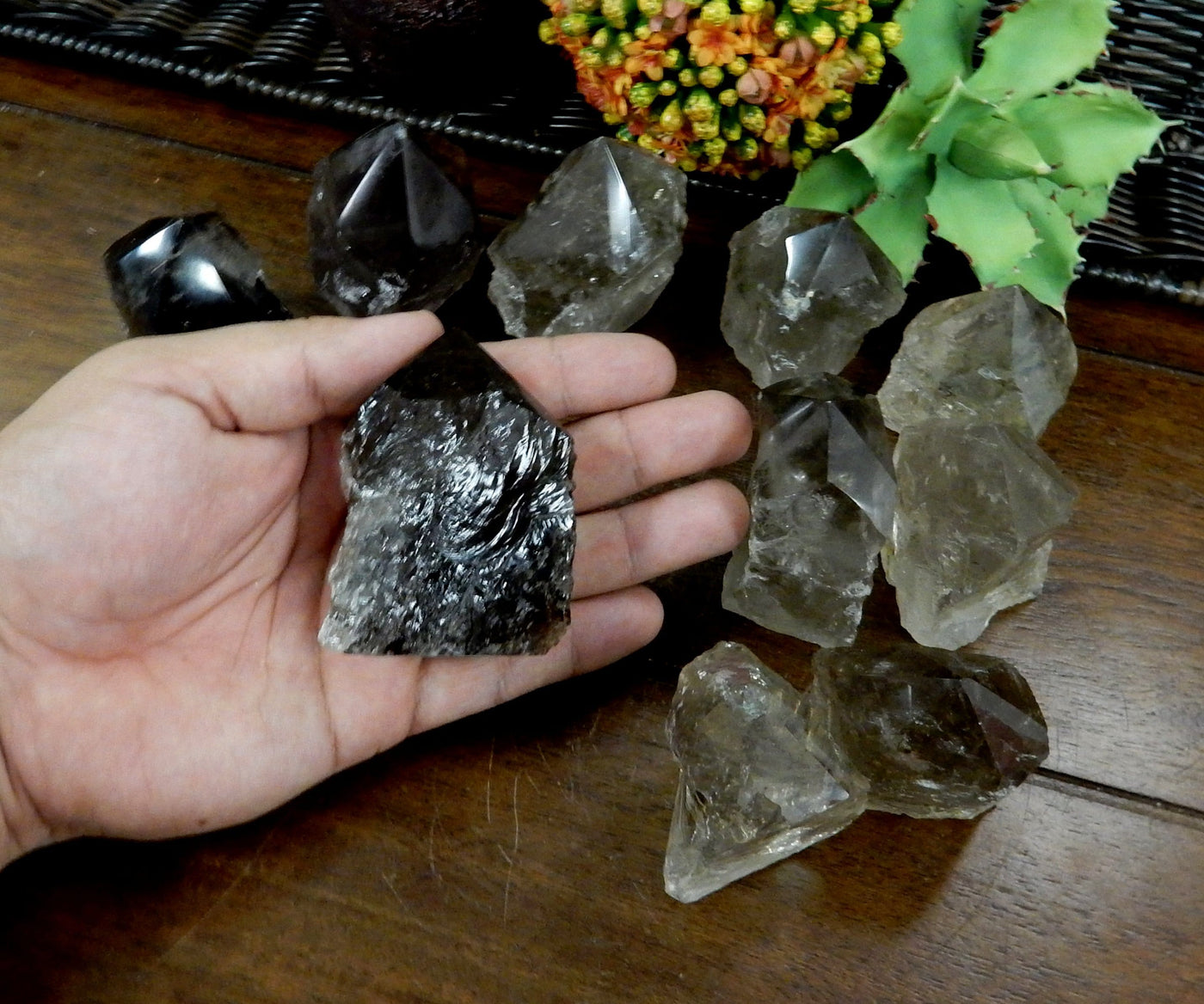 Hand holding up  Smokey Quartz Semi Polished Point with others in the background on wooden table
