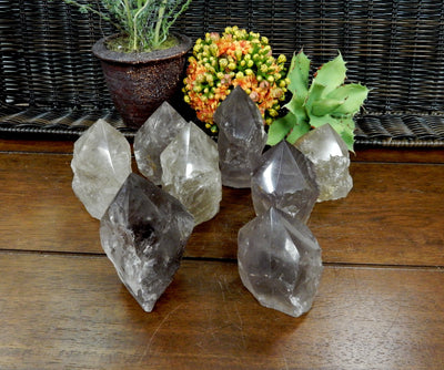 8  Smokey Quartz Semi Polished Points on wooden table with plants in the background