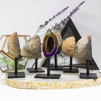 1 Rainbow Aura Geode on Stand facing forward in front of 5 Rainbow Aura Geodes on Stands facing the side