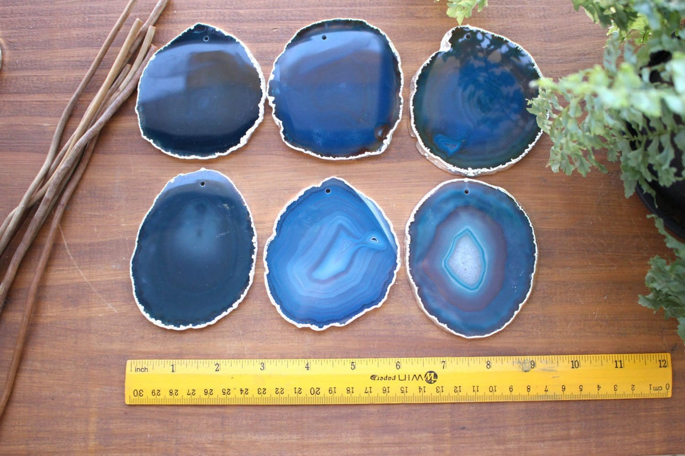 6 silver electroplated Teal Top Drilled Agate Slices next to a ruler for sizing. Those agate slices measure between 3-3.5" in diameter. and have an average weight of 0.15 lb