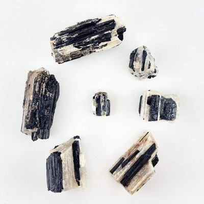 black tourmaline on matrix displayed in various sizes