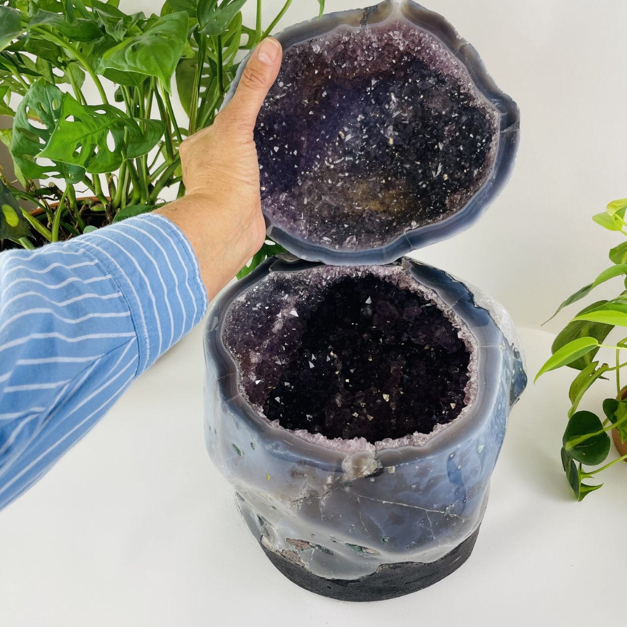 Amethyst Polished Cave Geode with a Lid open and crystals inside