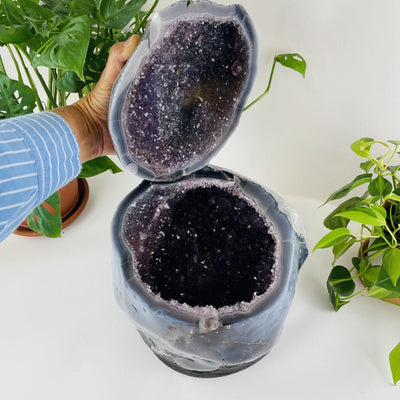 Amethyst Polished Cave Geode with a Lid open showing inside crystals