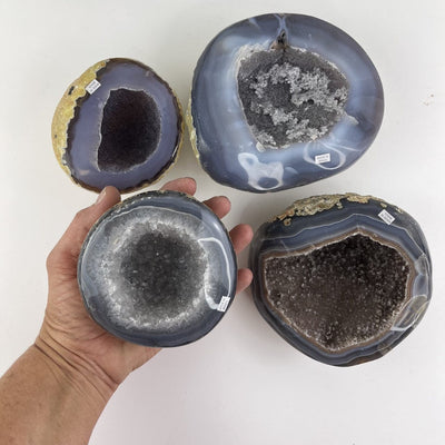 Bulk Lot 4 Polished Geode Halves with one in hand for size reference
