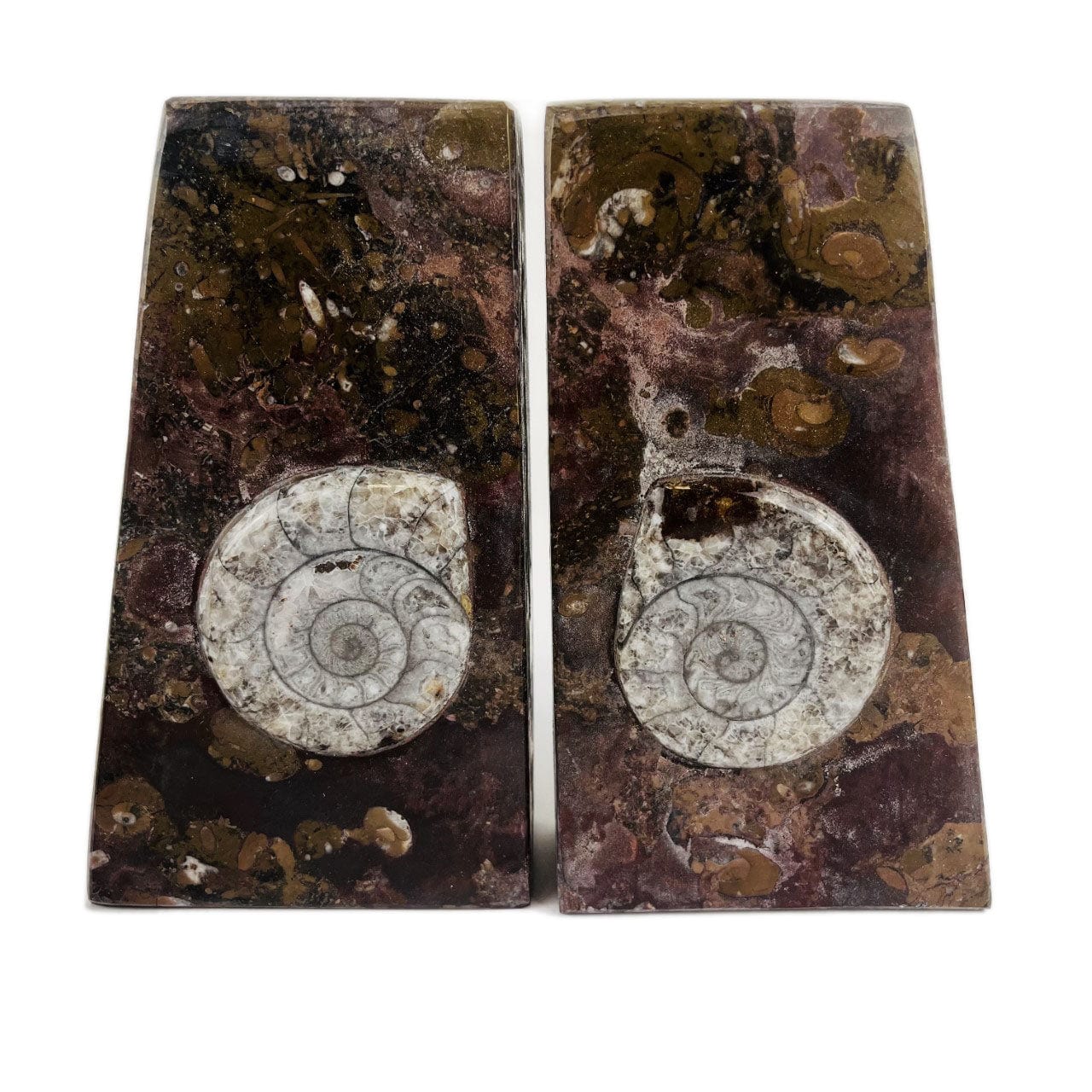 Ammonite Fossil Bookends up close , brown stone with the squared edges