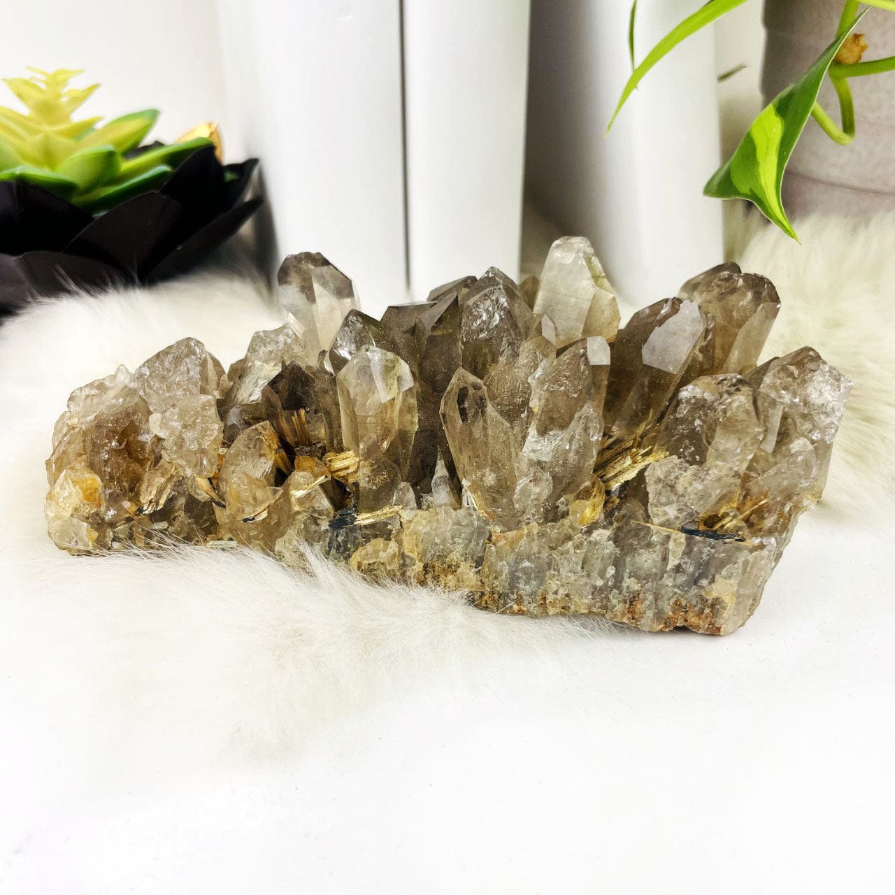 Frontal photo of Smoky Quartz Cluster with Rutile on a white surface.