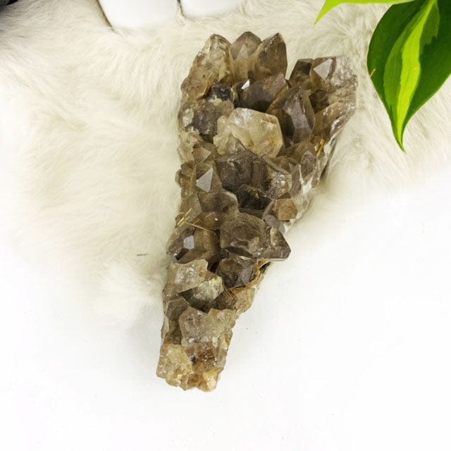 Aerial view of Smoky Quartz Cluster with Rutile on a white surface.