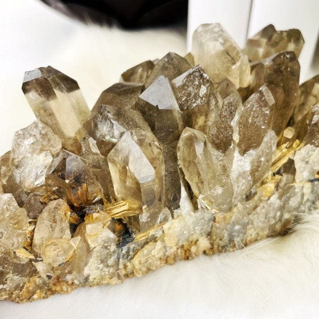 Up close view of Smoky Quartz Cluster with Rutile.