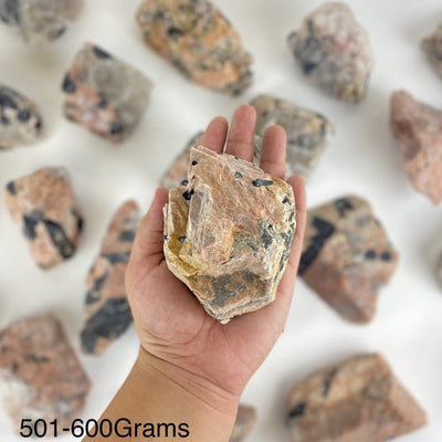 One piece of Feldspar with Black Tourmaline in the hand showing the weight of 501-600grams.
