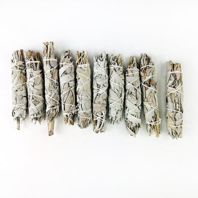 White Sage Sticks -  10 Pieces BUNDLES LOT