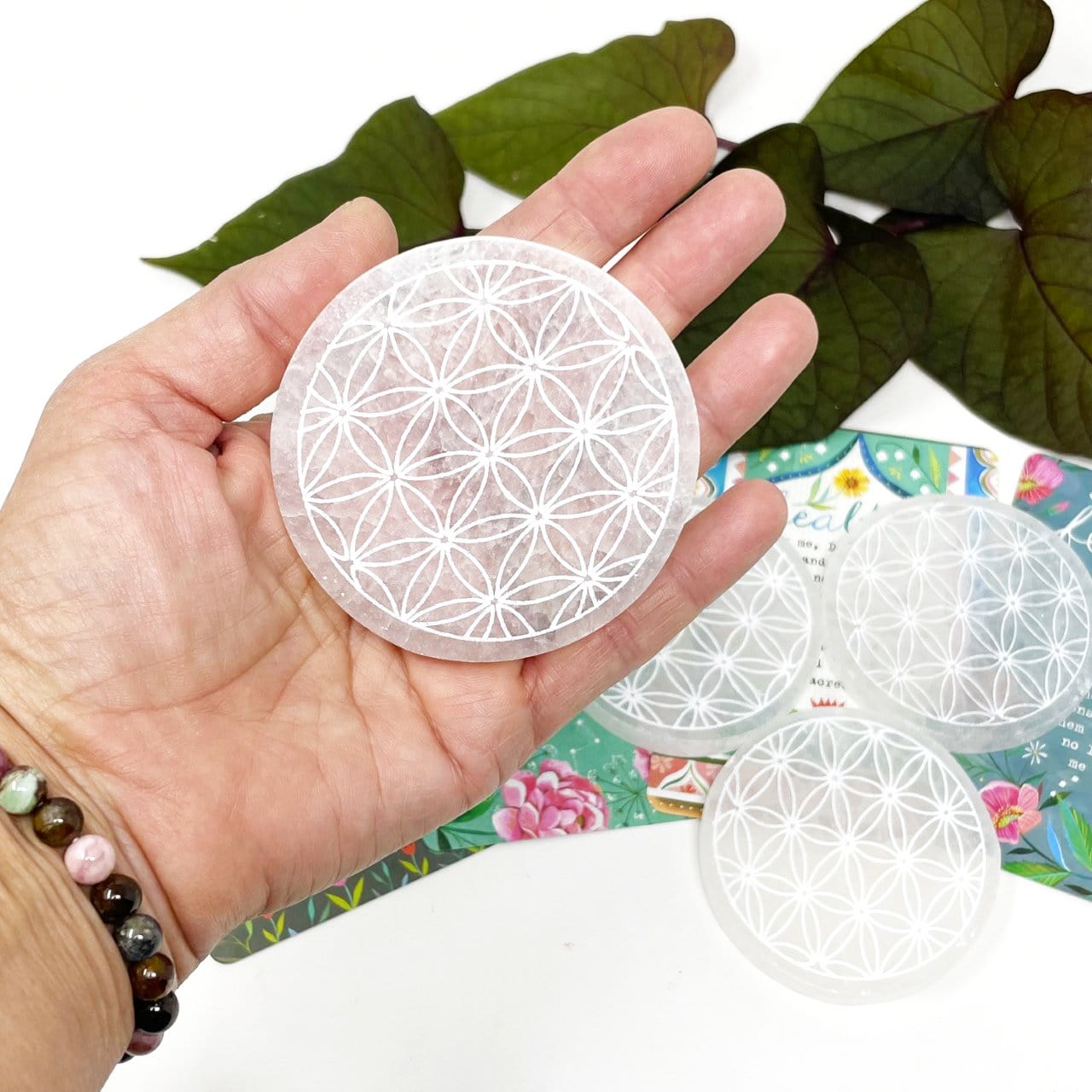 selenite round plate engraved with flower of life in hand for size reference with others in background display