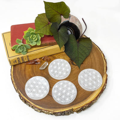 four selenite round plates engraved with flower of life on display