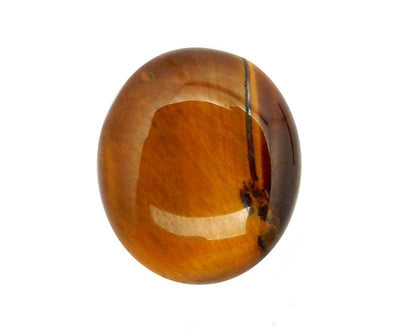 tigers eye cabochons on white background