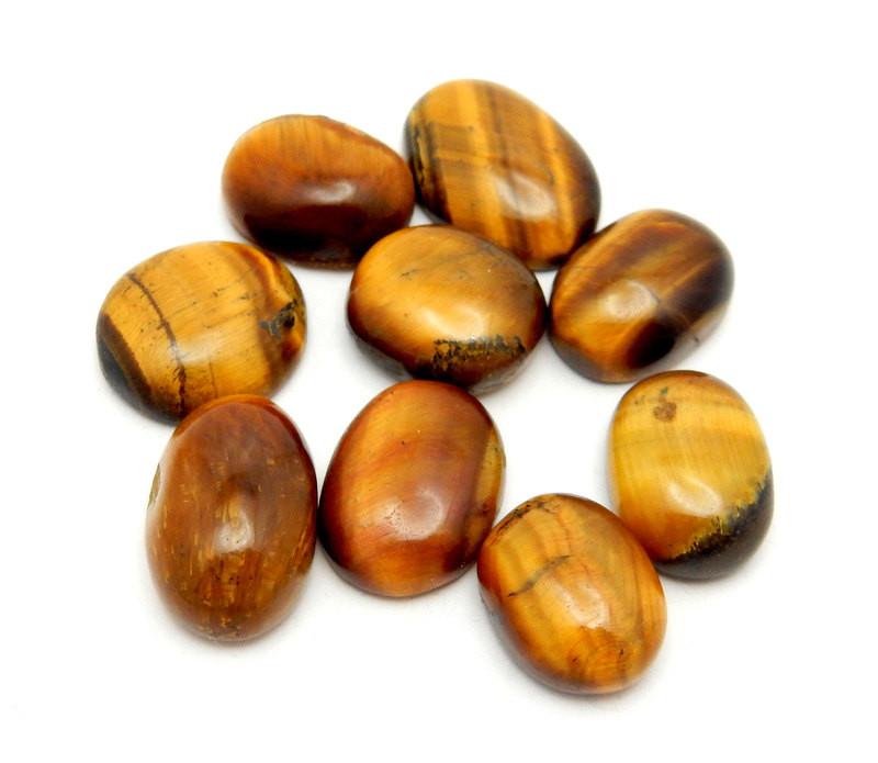 tigers eye cabochon on white background