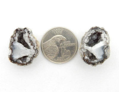 geode pairs on white background next to  a quarter for size reference