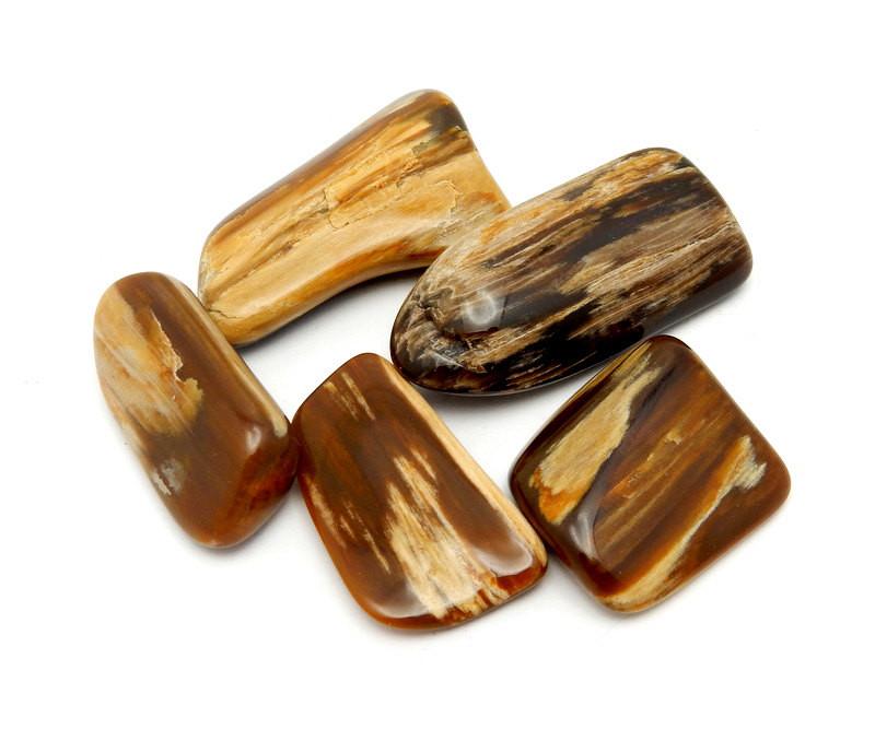 5 pieces of Tumbled Petrified Wood