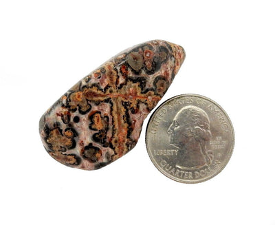A tumble jasper stone next to a quarter for size reference 