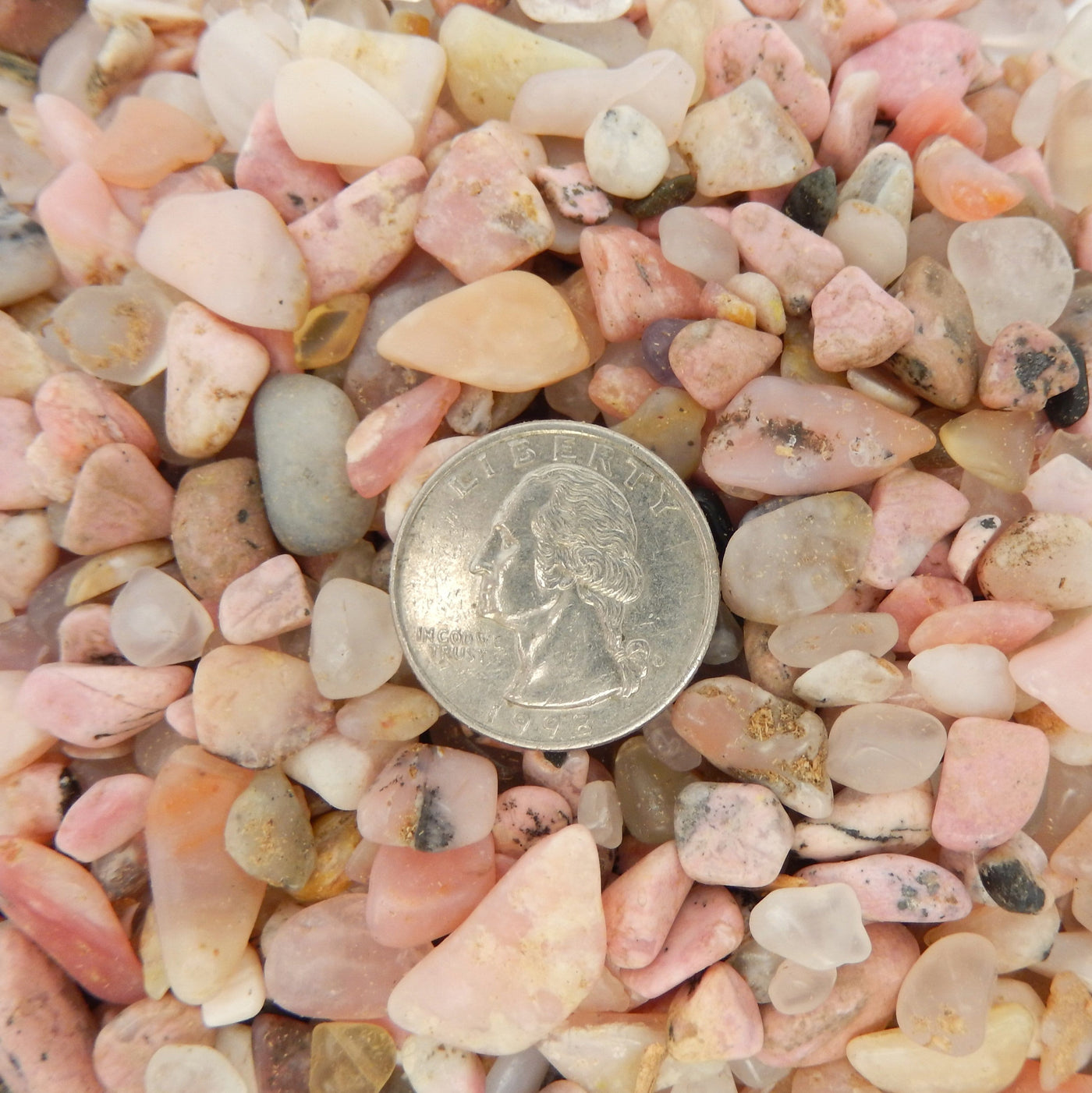 close up of pink opal tumbled stones next to a quarter for size reference 