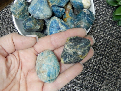2 blue apatite stones held in a woman's hand with more in a white bowl in the background.