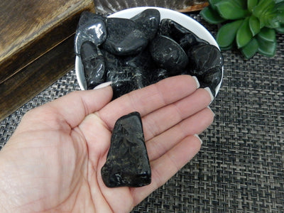Natural Large Black Tourmaline Tumbled - one in a hand