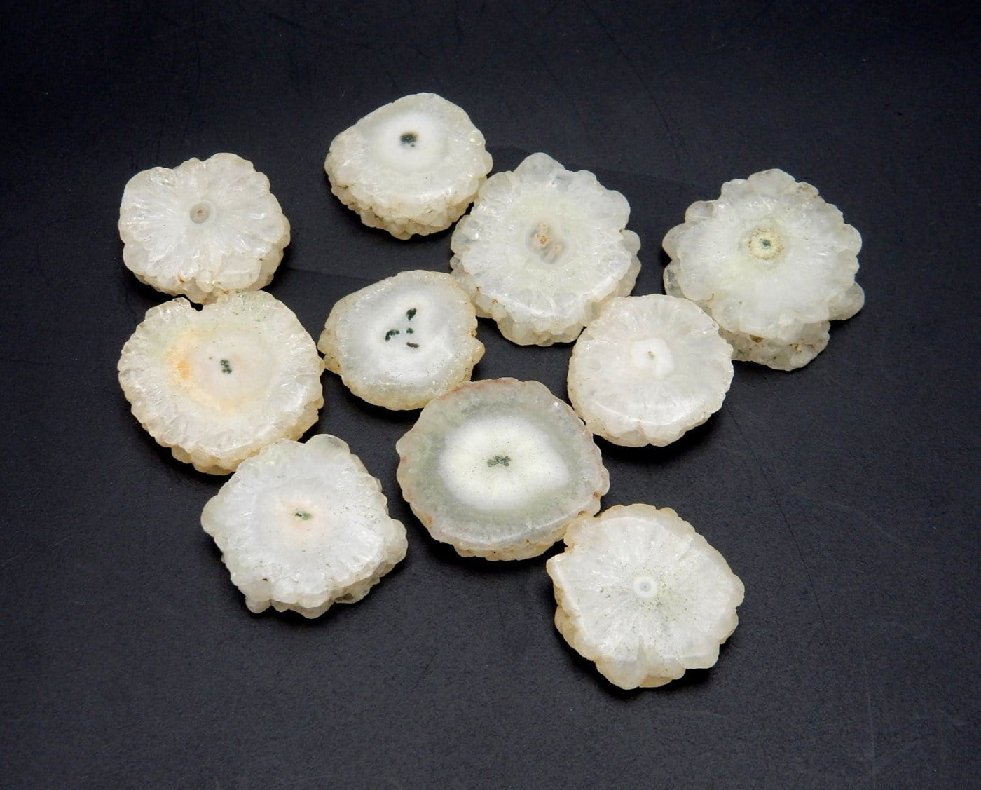multiple White Solar Quartz Side Drilled Bead to show various formations and color hues